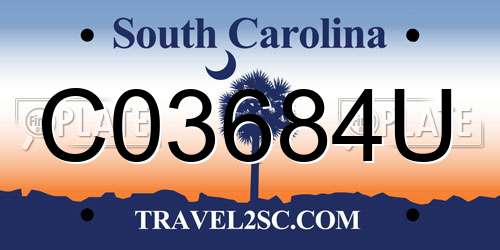C03684U South Carolina License Plate