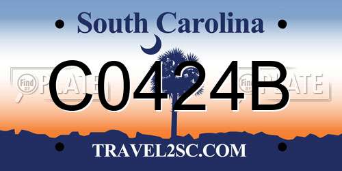 C0424B South Carolina License Plate