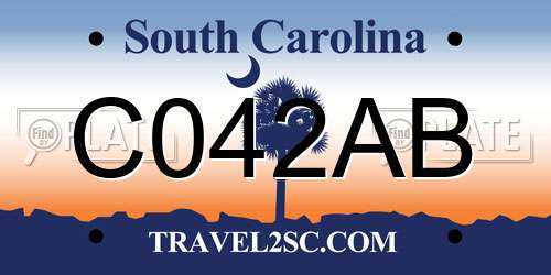 C042AB South Carolina License Plate