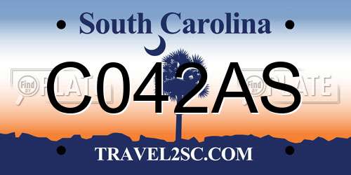 C042AS South Carolina License Plate