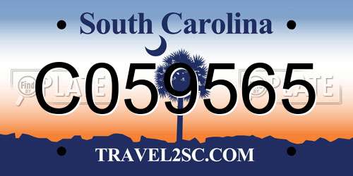 C059565 South Carolina License Plate