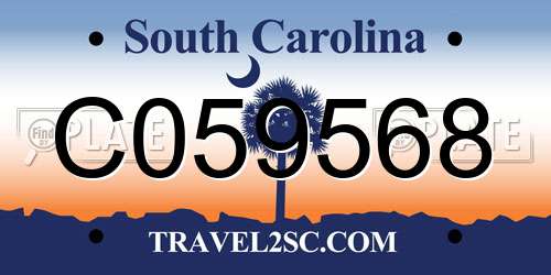 C059568 South Carolina License Plate