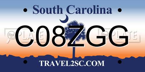 C08ZGG South Carolina License Plate