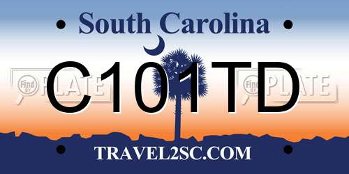 C101TD South Carolina License Plate