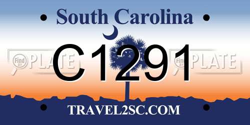C1291 South Carolina License Plate
