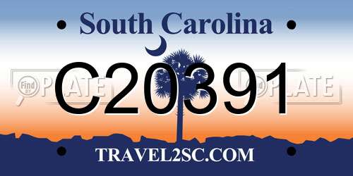 C20391 South Carolina License Plate