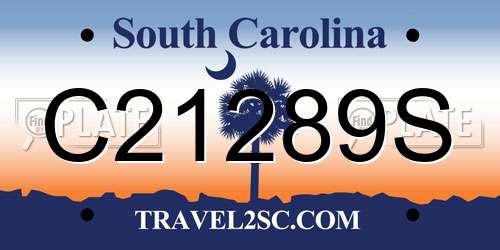 C21289S South Carolina License Plate