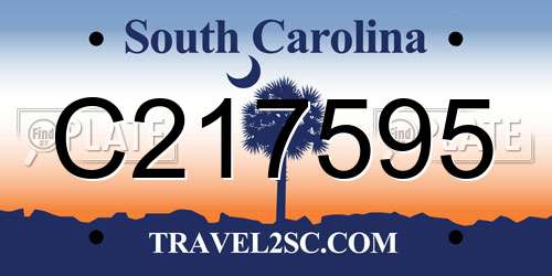 C217595 South Carolina License Plate
