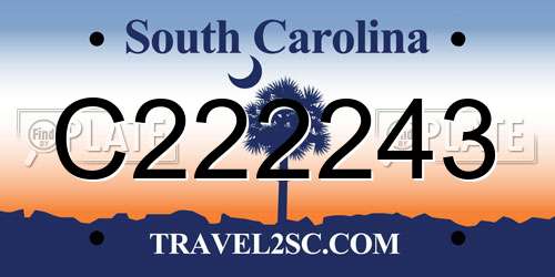 C222243 South Carolina License Plate