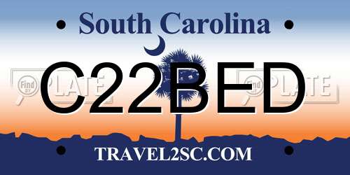 C22BED South Carolina License Plate