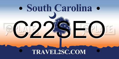 C22SEO South Carolina License Plate