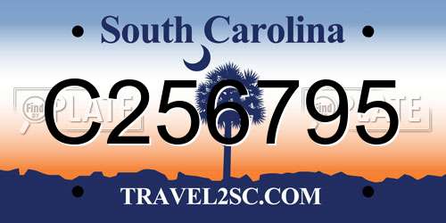 C256795 South Carolina License Plate