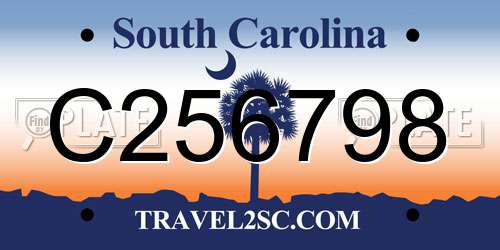 C256798 South Carolina License Plate