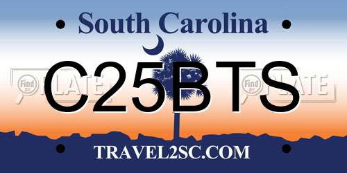C25BTS South Carolina License Plate