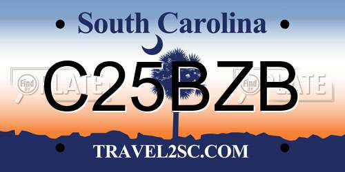 C25BZB South Carolina License Plate