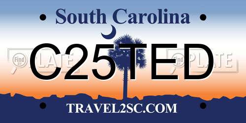 C25TED South Carolina License Plate