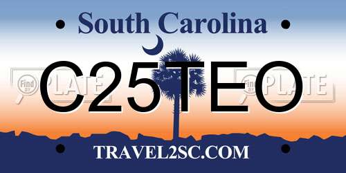 C25TEO South Carolina License Plate