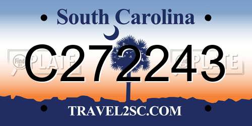 C272243 South Carolina License Plate