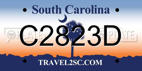 C2823D South Carolina License Plate