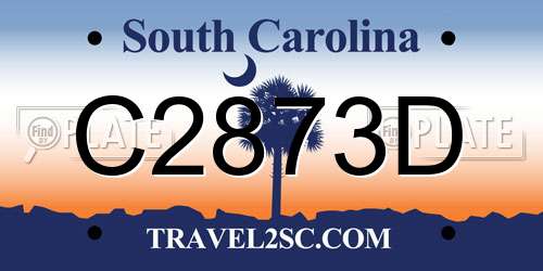 C2873D South Carolina License Plate
