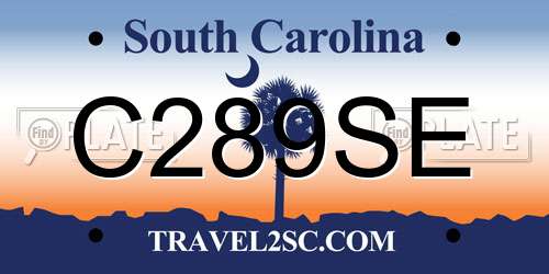 C289SE South Carolina License Plate