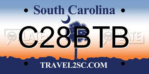 C28BTB South Carolina License Plate