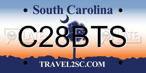 C28BTS South Carolina License Plate