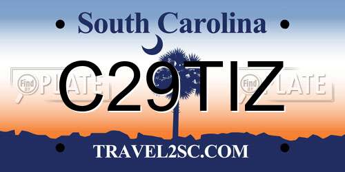 C29TIZ South Carolina License Plate