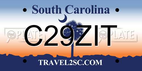 C29ZIT South Carolina License Plate