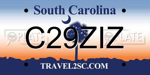 C29ZIZ South Carolina License Plate
