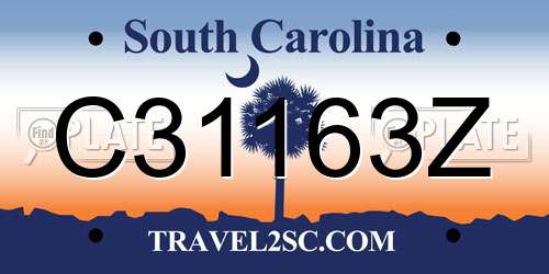 C31163Z South Carolina License Plate