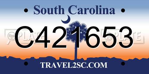 C421653 South Carolina License Plate