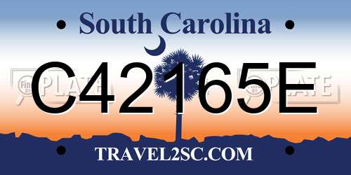 C42165E South Carolina License Plate