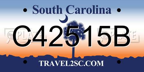 C42515B South Carolina License Plate