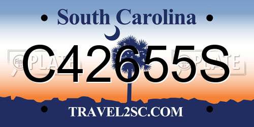 C42655S South Carolina License Plate