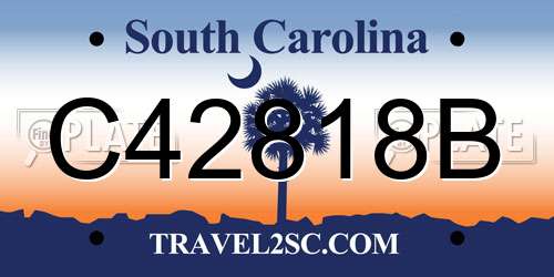 C42818B South Carolina License Plate