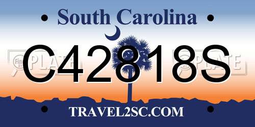 C42818S South Carolina License Plate