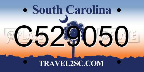 C529050 South Carolina License Plate