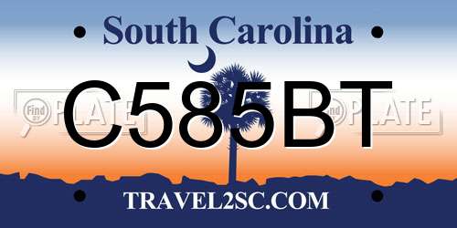 C585BT South Carolina License Plate