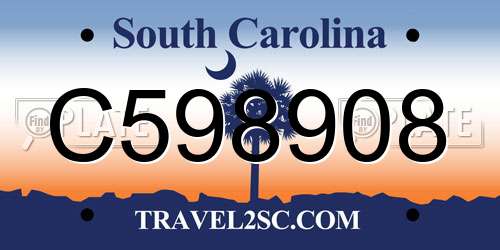 C598908 South Carolina License Plate