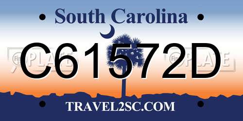 C61572D South Carolina License Plate