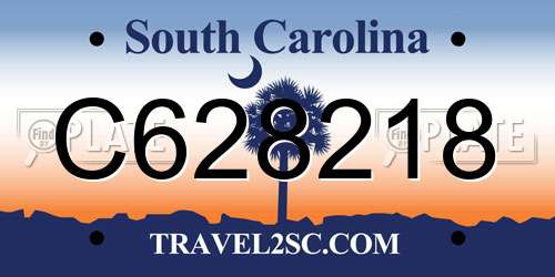 C628218 South Carolina License Plate