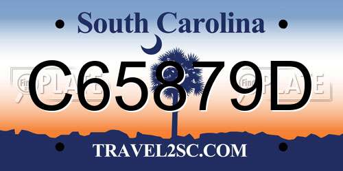 C65879D South Carolina License Plate