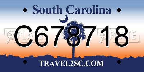 C678718 South Carolina License Plate