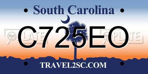 C725EO South Carolina License Plate
