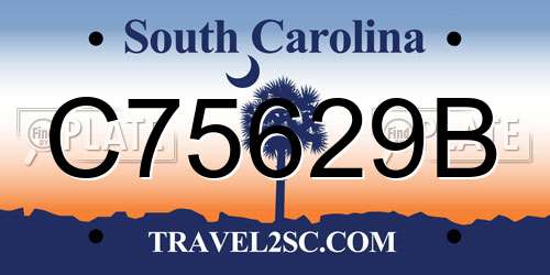 C75629B South Carolina License Plate