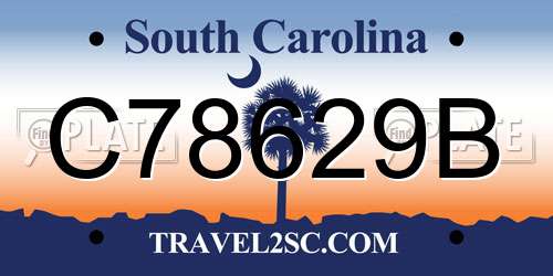 C78629B South Carolina License Plate