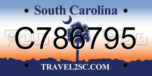 C786795 South Carolina License Plate