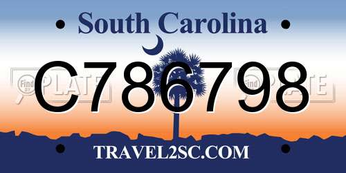 C786798 South Carolina License Plate