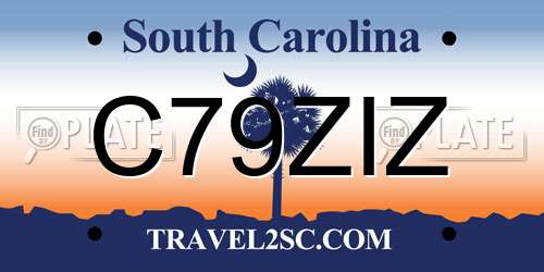 C79ZIZ South Carolina License Plate